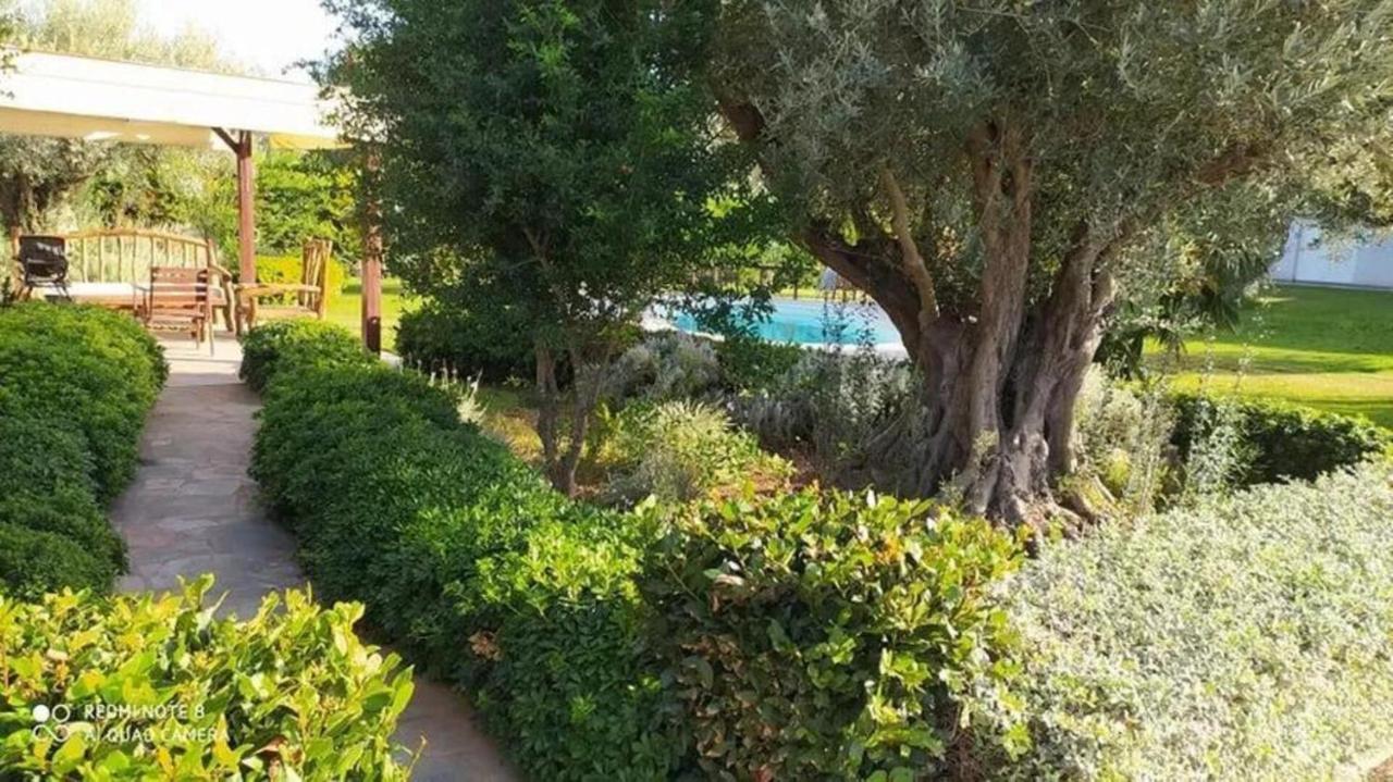 Luxurious 6 Bedroom Villa In A Great Location Χαλκίδα Εξωτερικό φωτογραφία